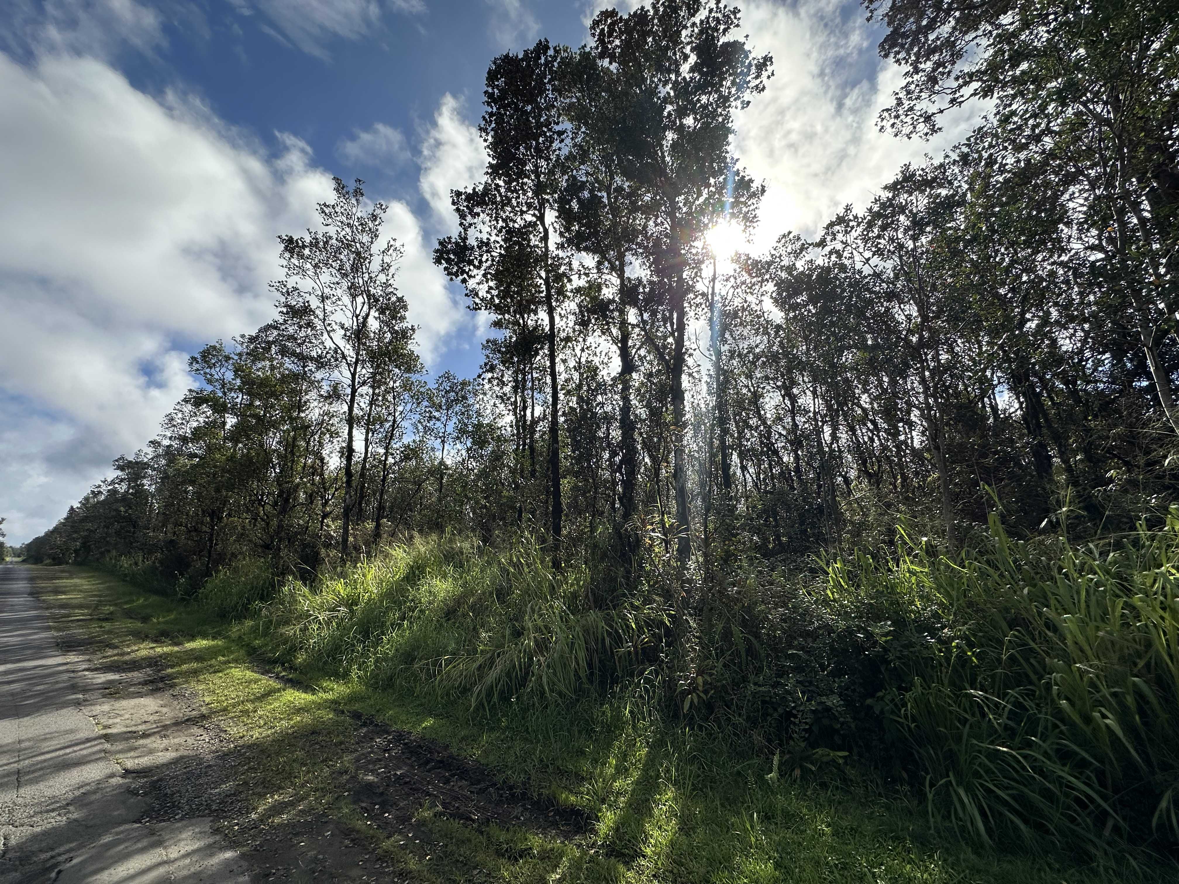 Mountain View, HI 96771,PALAINUI ST