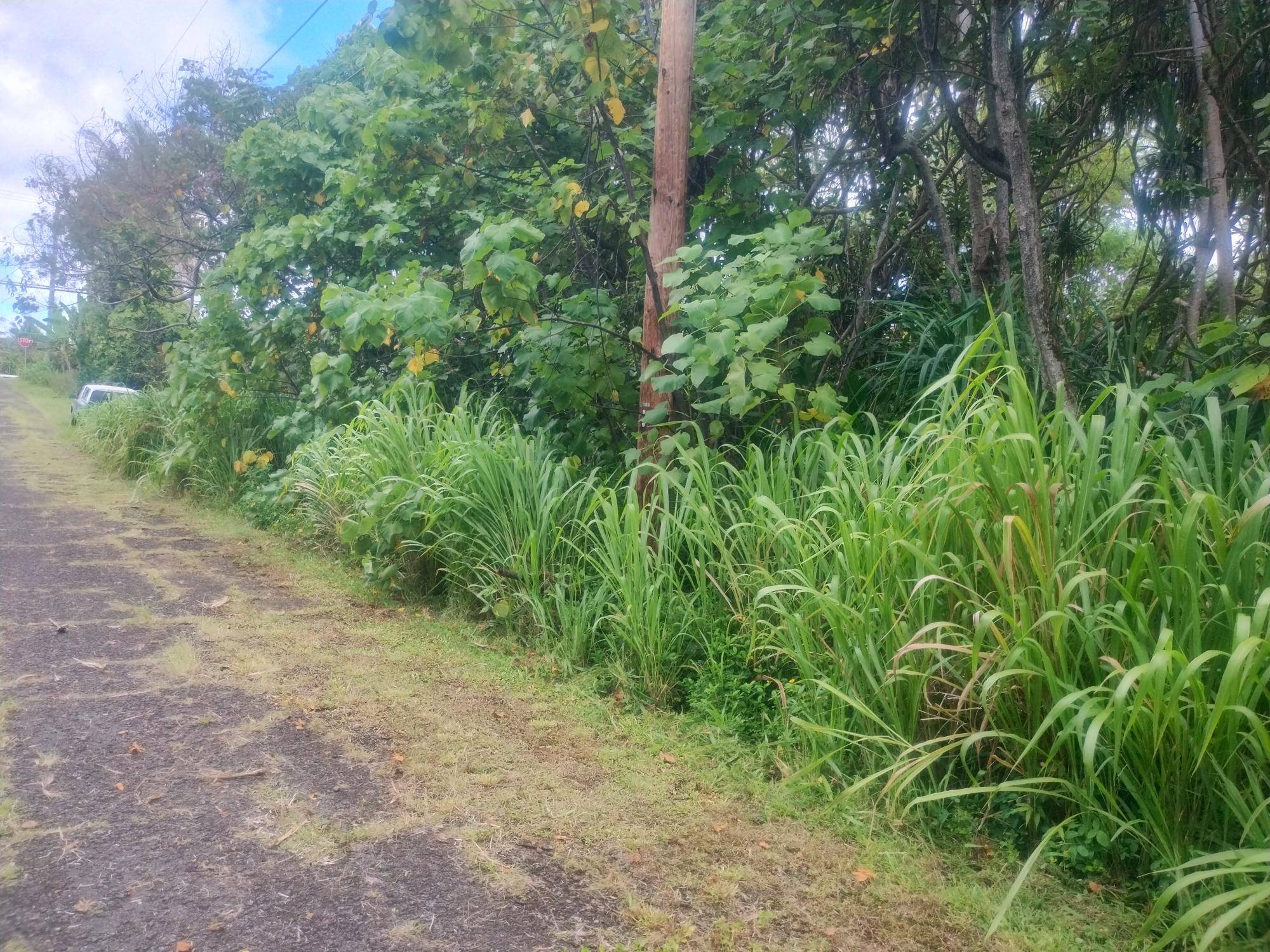 Pahoa, HI 96778,KOAEKEA ST