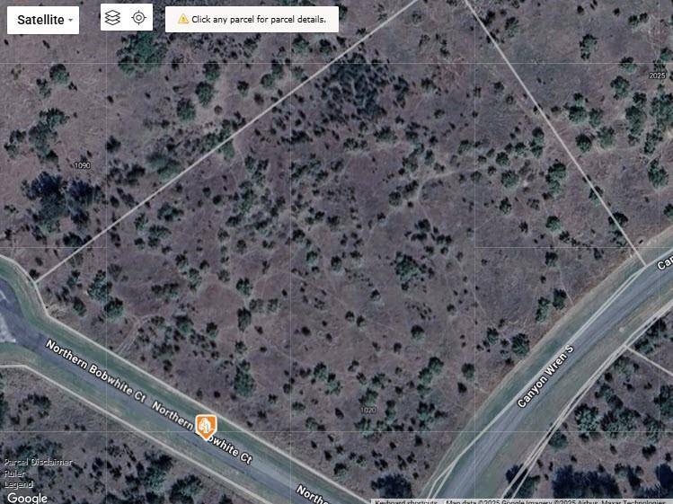 Graford, TX 76449,Lot 23 Northern Bobwhite