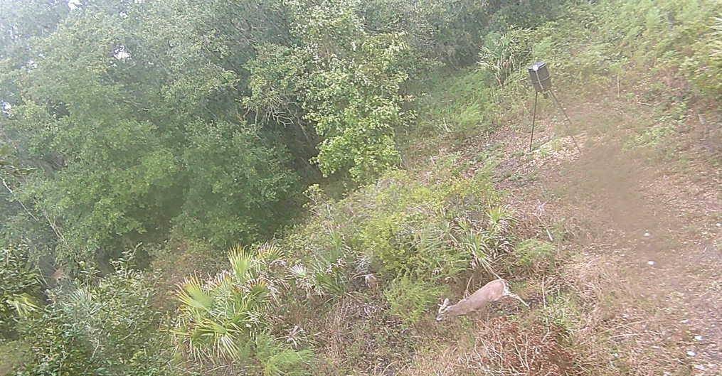 Okeechobee, FL 34972,0 Nw 298th St