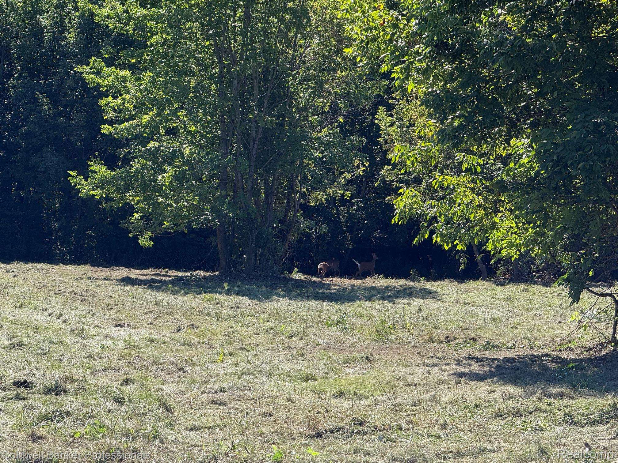 Metamora, MI 48455,2289 Equestrian Trail CT