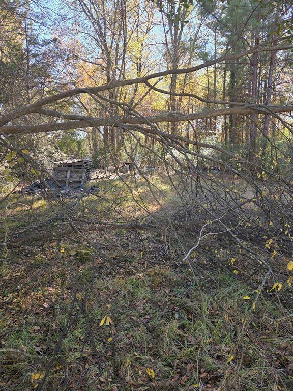 Kilgore, TX 75662,908 Burns Street