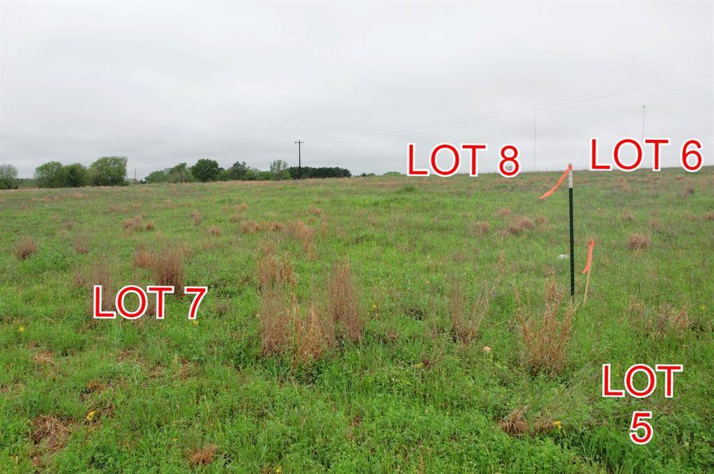 Winnsboro, TX 75494,TBD Lot 8 County Road 4287