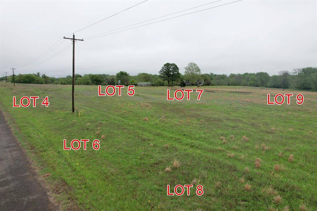 Winnsboro, TX 75494,TBD Lot 8 County Road 4287