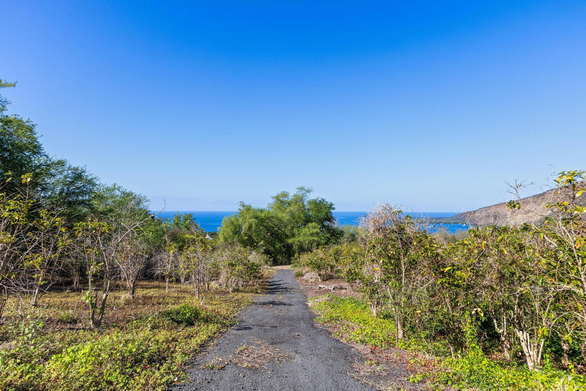 Captain Cook, HI 96704,82-1177 MELI RD