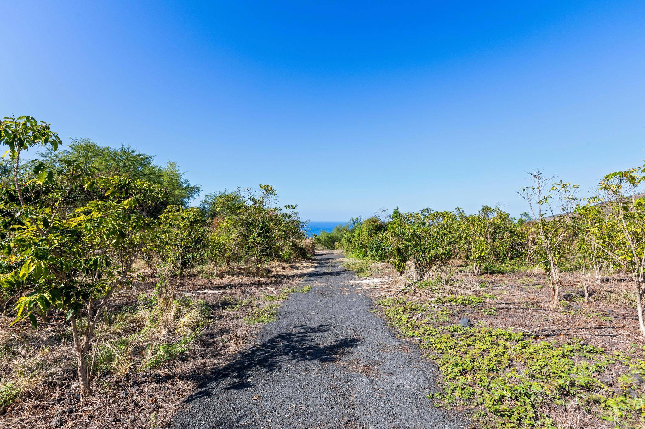 Captain Cook, HI 96704,82-1177 MELI RD