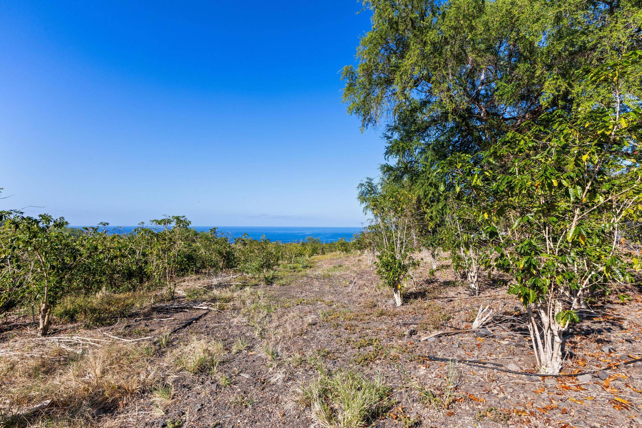 Captain Cook, HI 96704,82-1177 MELI RD