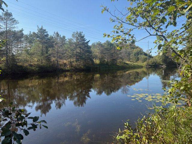 Armour, ON P0A 1L0,12 Three Mile Lake RD E