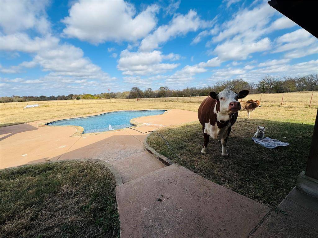 Campbell, TX 75422,5314 County Road 3204