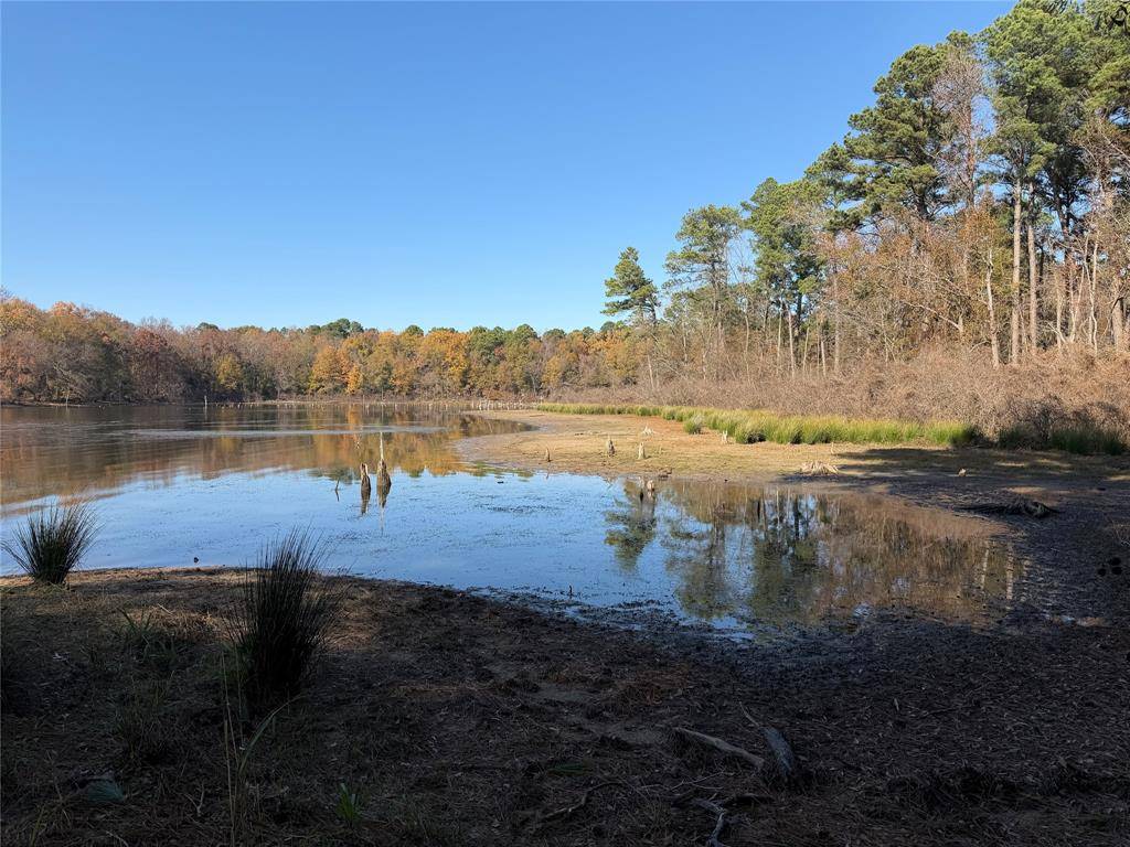 Pittsburg, TX 75686,2777 County Road 4875