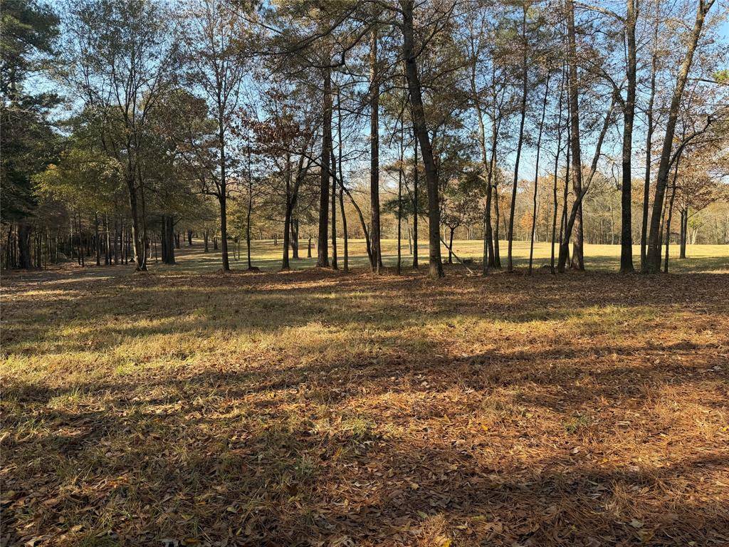 Pittsburg, TX 75686,2777 County Road 4875