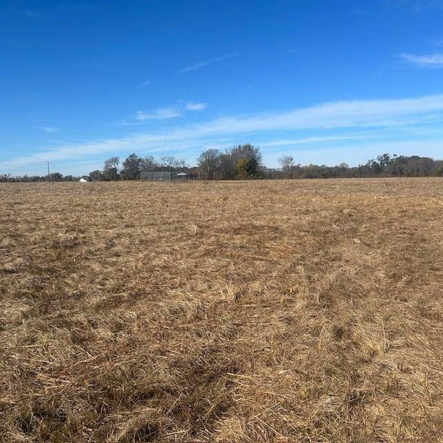 Ben Wheeler, TX 75754,000 VZ County Rd 4406