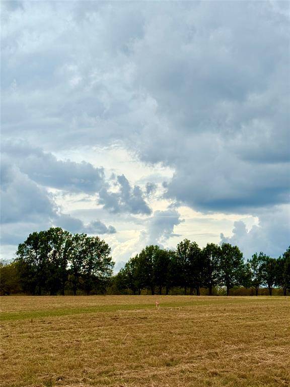 Wills Point, TX 75169,TBD Lot 8 County Road 3811