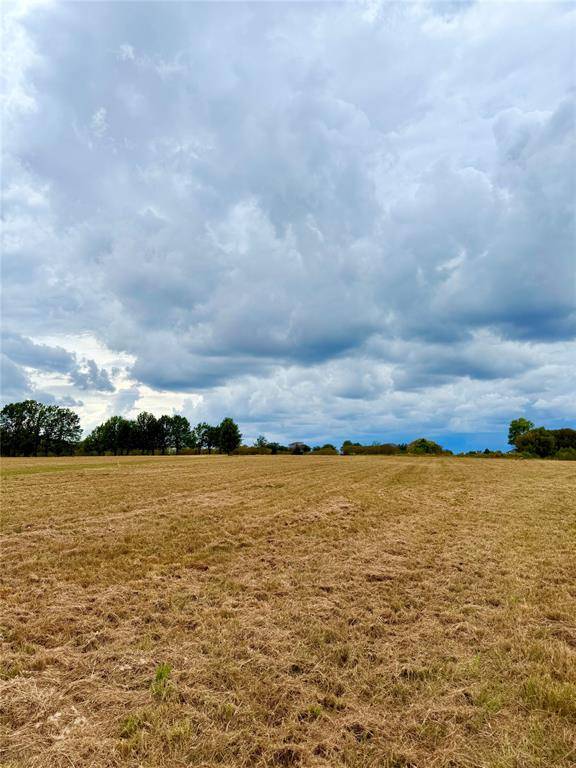 Wills Point, TX 75169,TBD Lot 8 County Road 3811