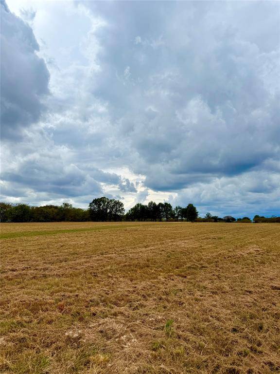 Wills Point, TX 75169,TBD Lot 8 County Road 3811