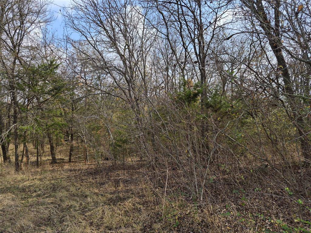 Palmer, TX 75152,1386 Palmyra Road