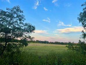 Cleburne, TX 76033,4301 County Road 1235