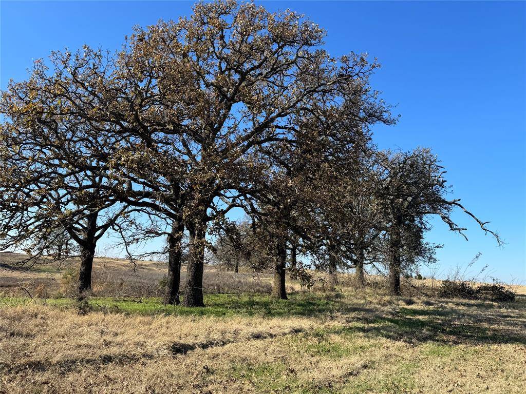 Gordonville, TX 76273,0000 FM 901