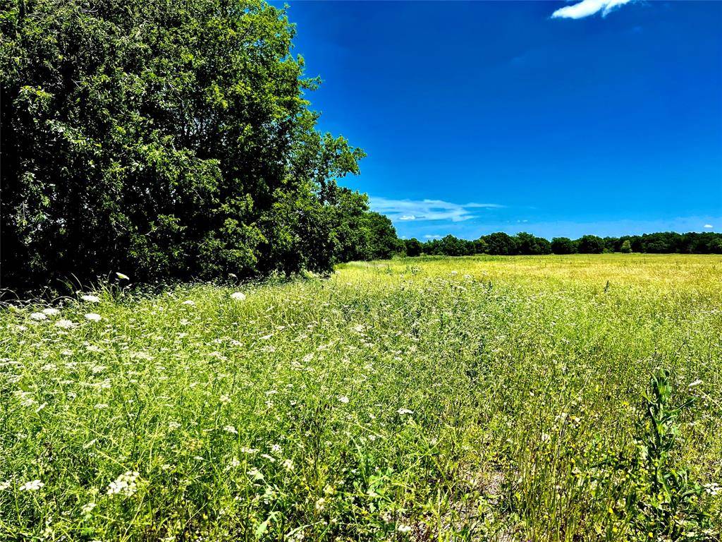 Nevada, TX 75173,Lot 7 CR-590