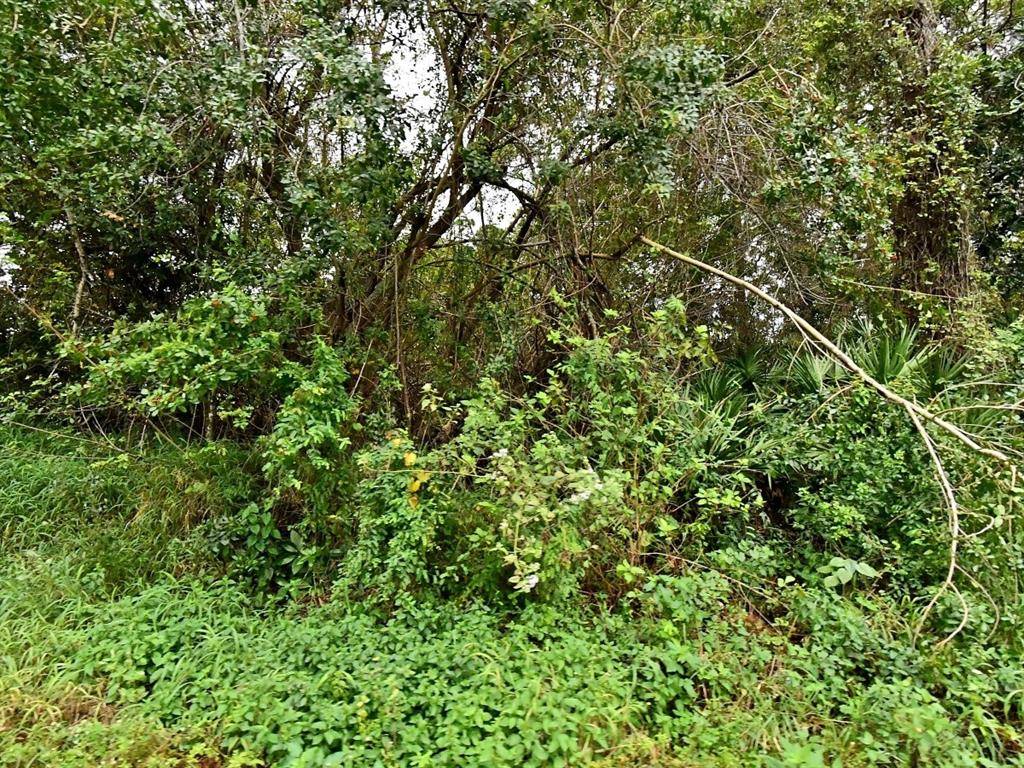 Fort Pierce, FL 34947,AVENUE S Avenue S