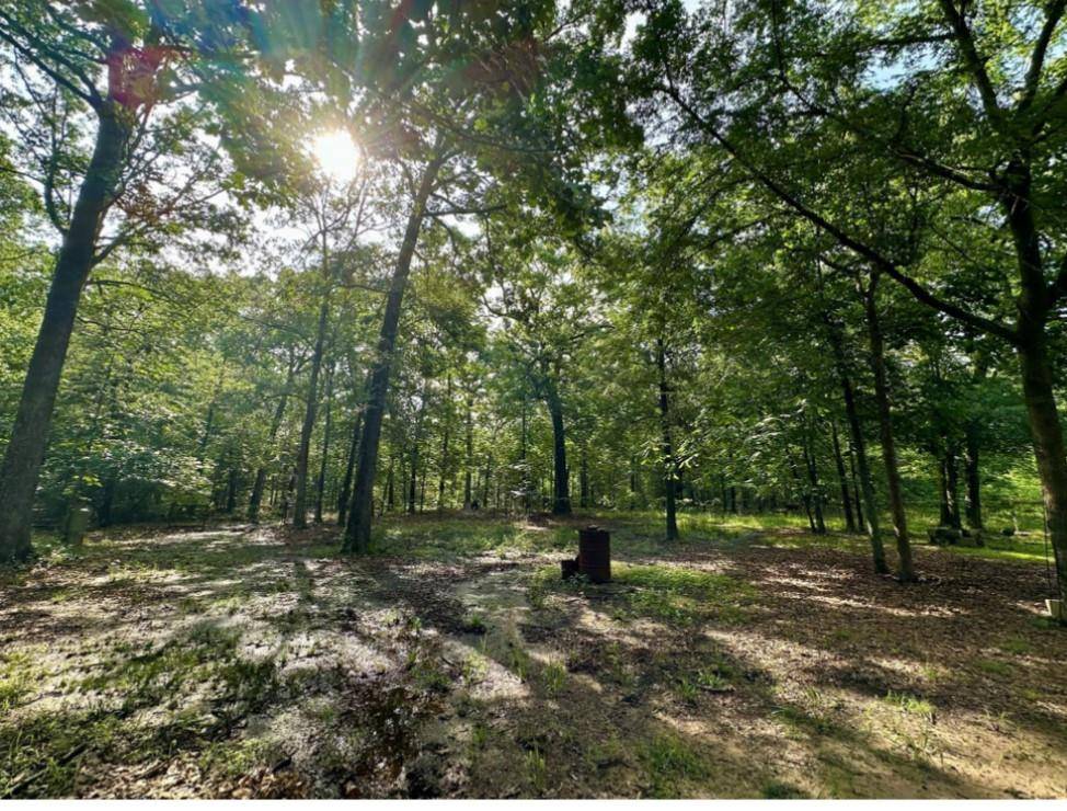 Powderly, TX 75473,2630 County Road 43270