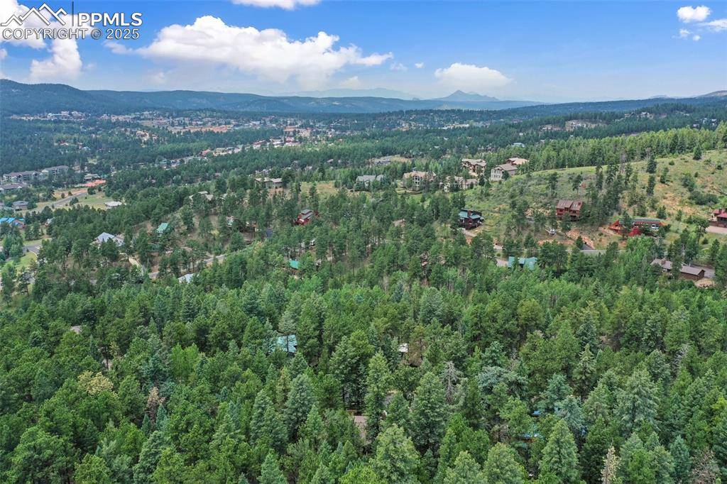 Woodland Park, CO 80863,1003 Kings Crown RD