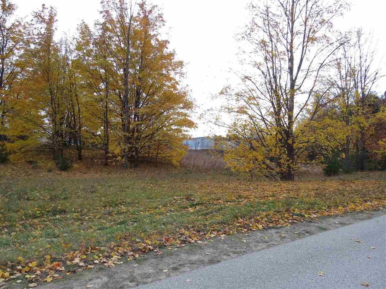 Kingsley, MI 49649,Lot 66 Eden ST