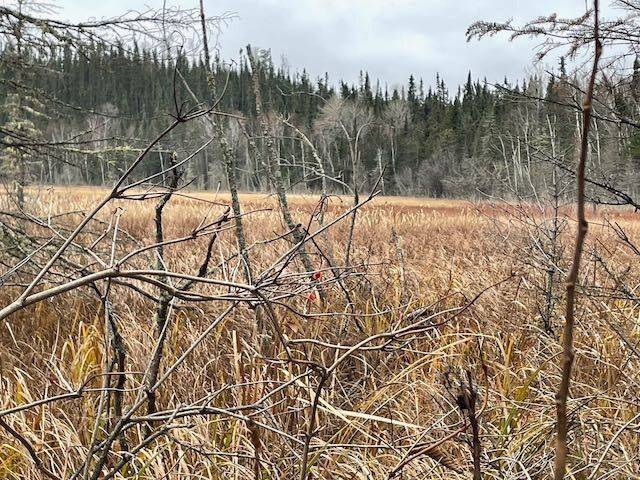 Dryden, ON P0V 1P0,PCL 7576 N/A N/A N