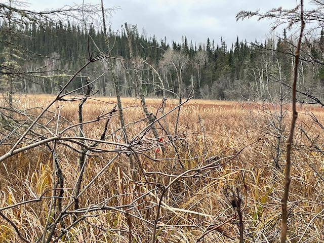 Dryden, ON P0V 1P0,PCL 7576 N/A N/A N