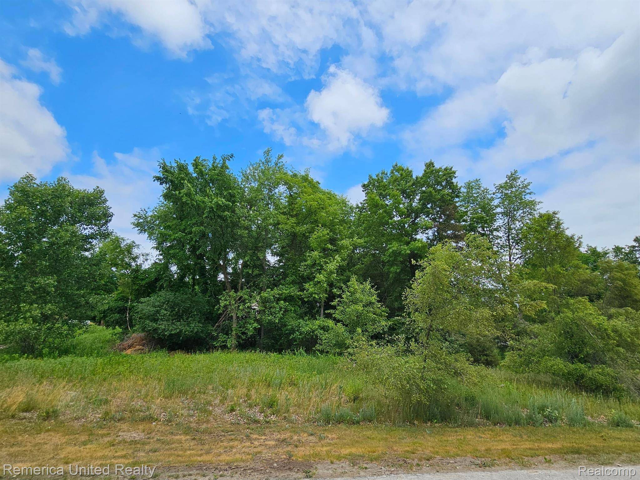 South Lyon, MI 48178,10536 Oak Shore DR