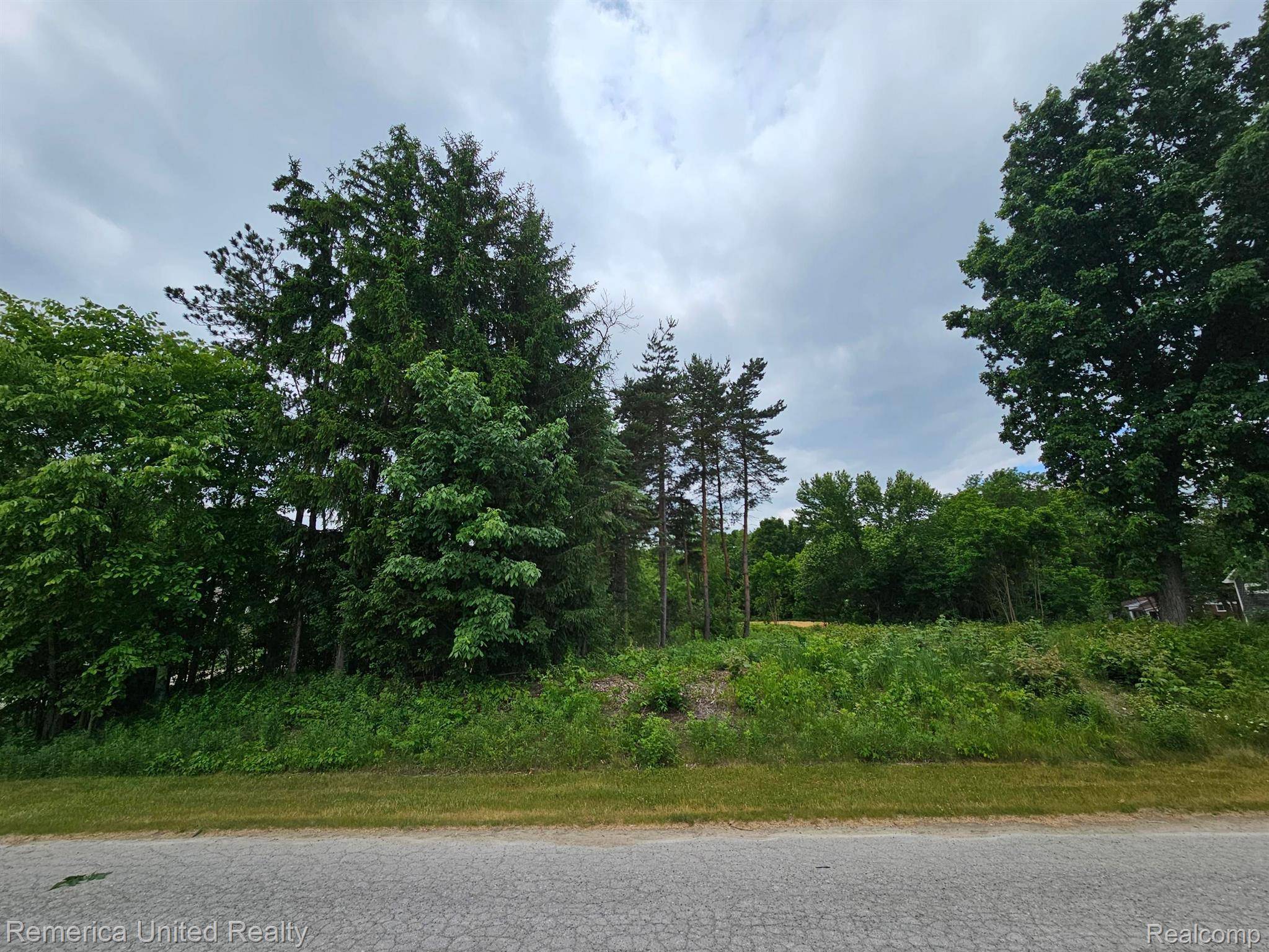 South Lyon, MI 48178,10512 OAK FOREST DR