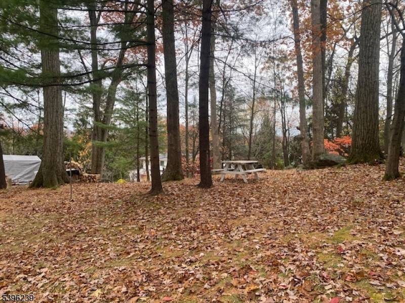 Wayne Twp., NJ 07470,100 Wilson Ave