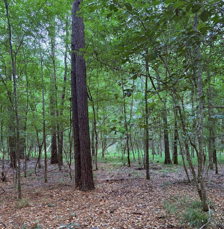 Jasper, TX 75951,TBD Hwy 190