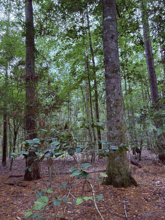 Jasper, TX 75951,TBD Hwy 190