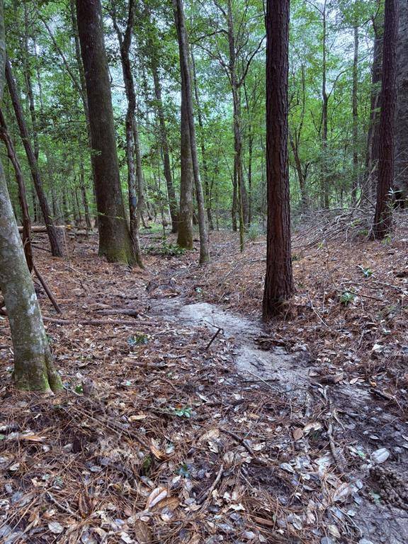 Jasper, TX 75951,TBD Hwy 190