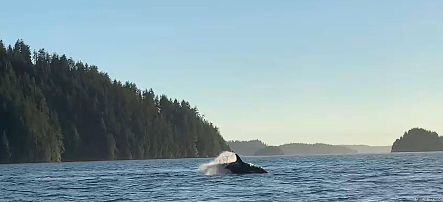 Nootka Island, BC V0P 1X0,Address not disclosed