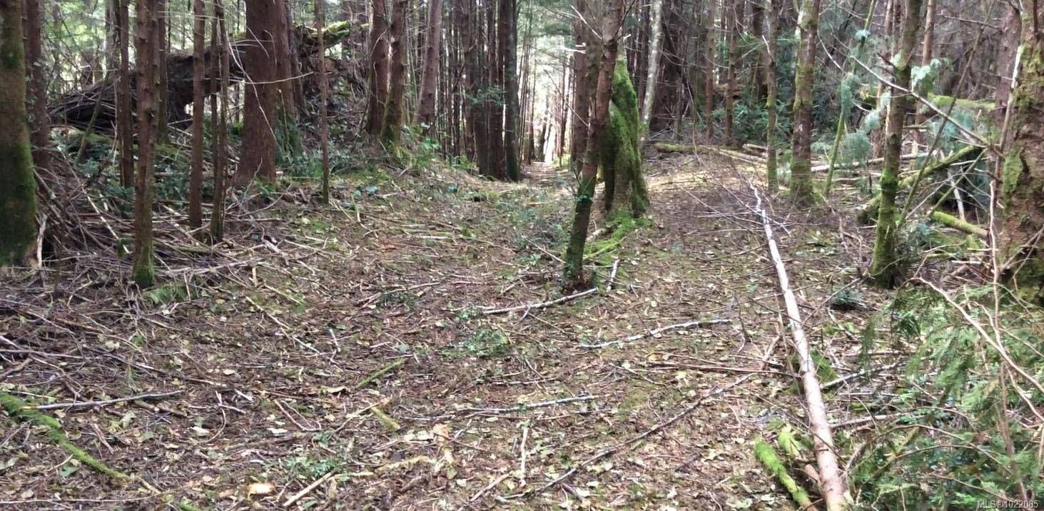 Nootka Island, BC V0P 1X0,Address not disclosed