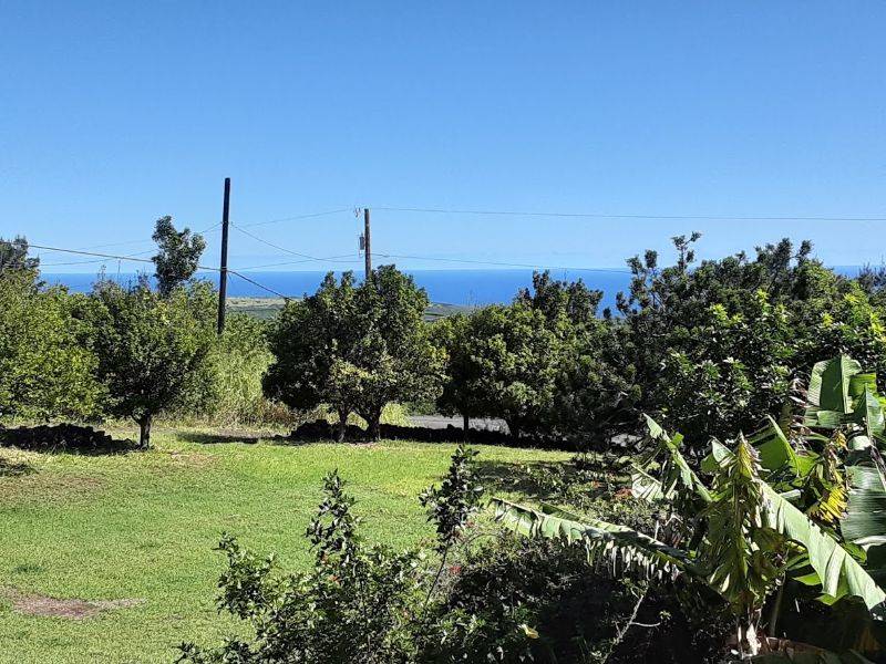 Naalehu, HI 96772,94-1769 AMEPELA RD