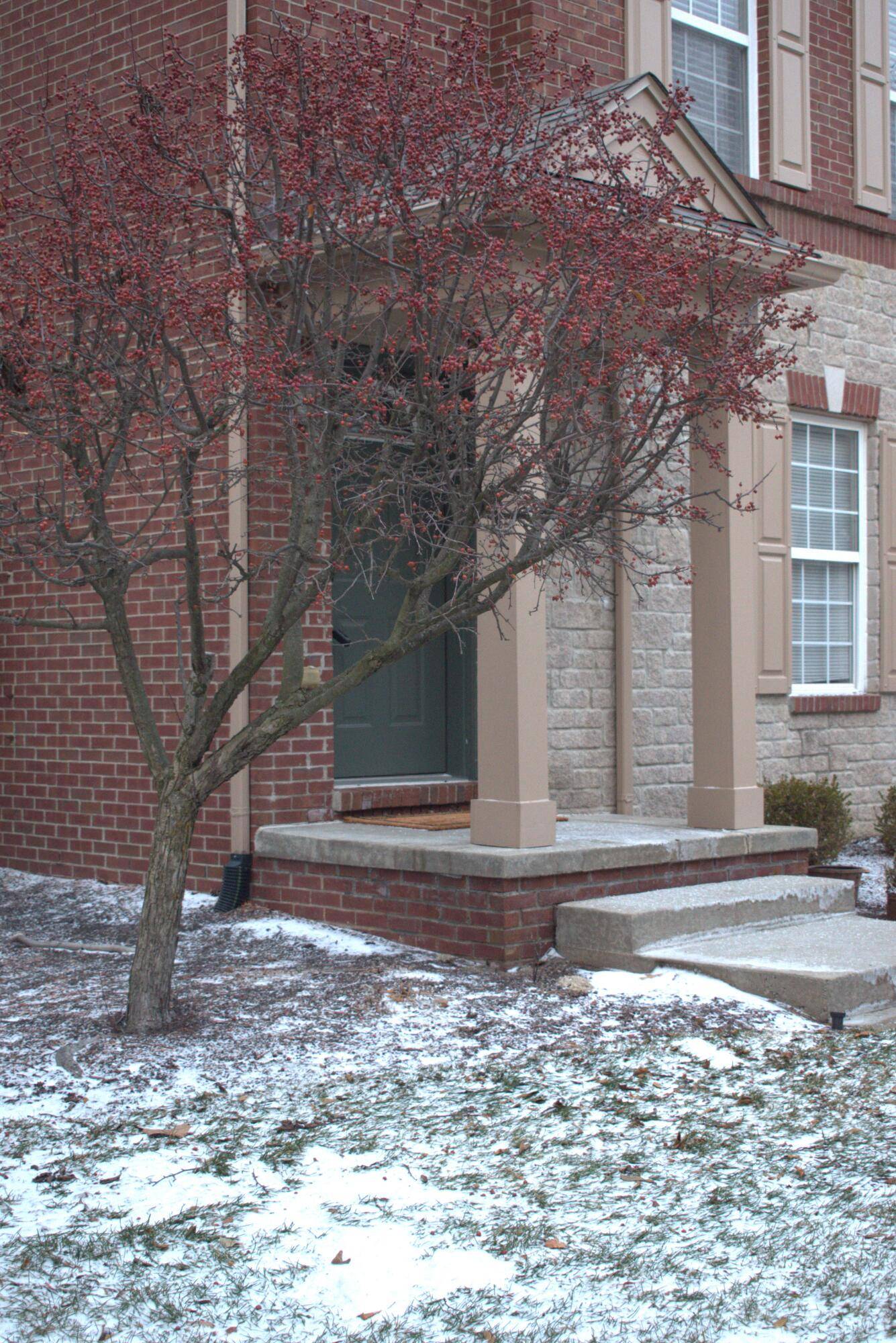 Novi, MI 48377,44725 Ellery LN #78