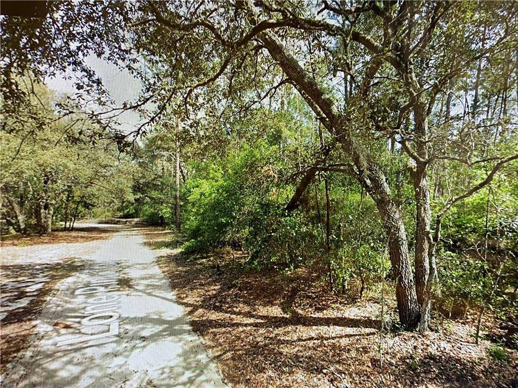 Other City - In The State Of Florida, FL 32666,0000 Lone Pine Trail