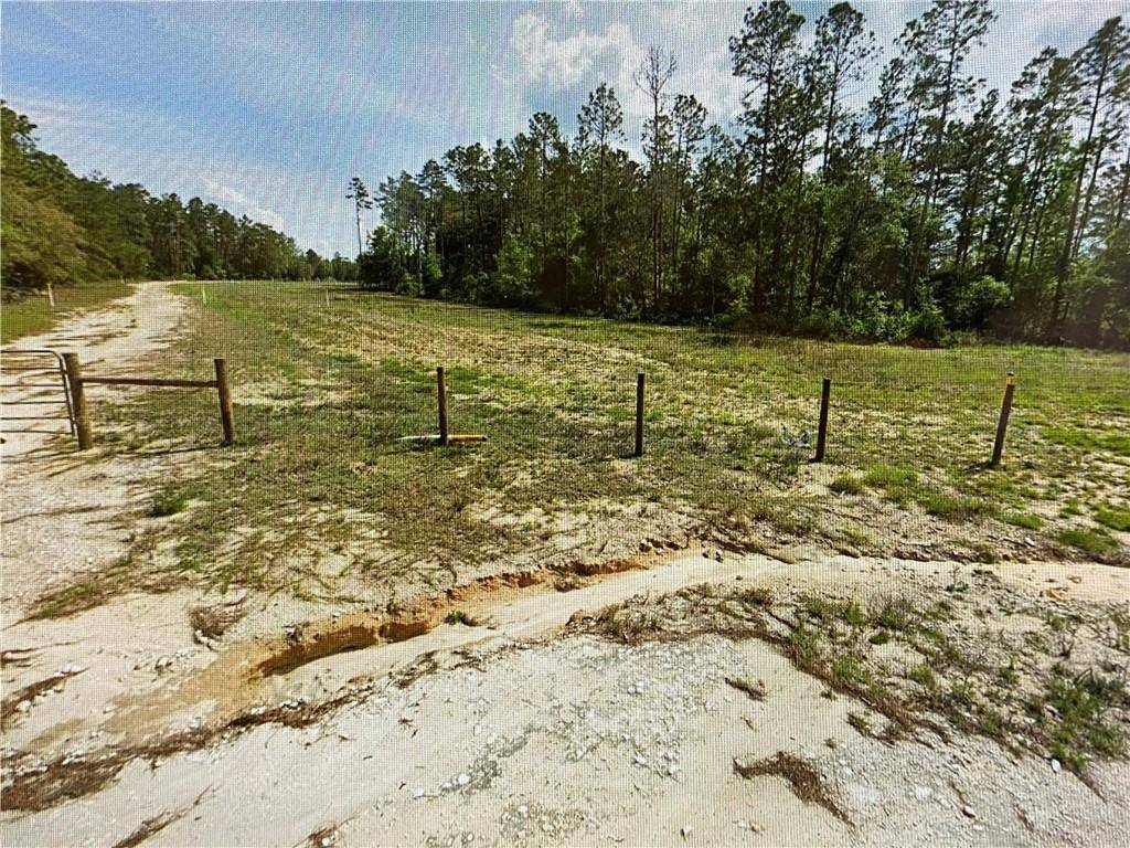 Other City - In The State Of Florida, FL 32666,0000 Lone Pine Trail
