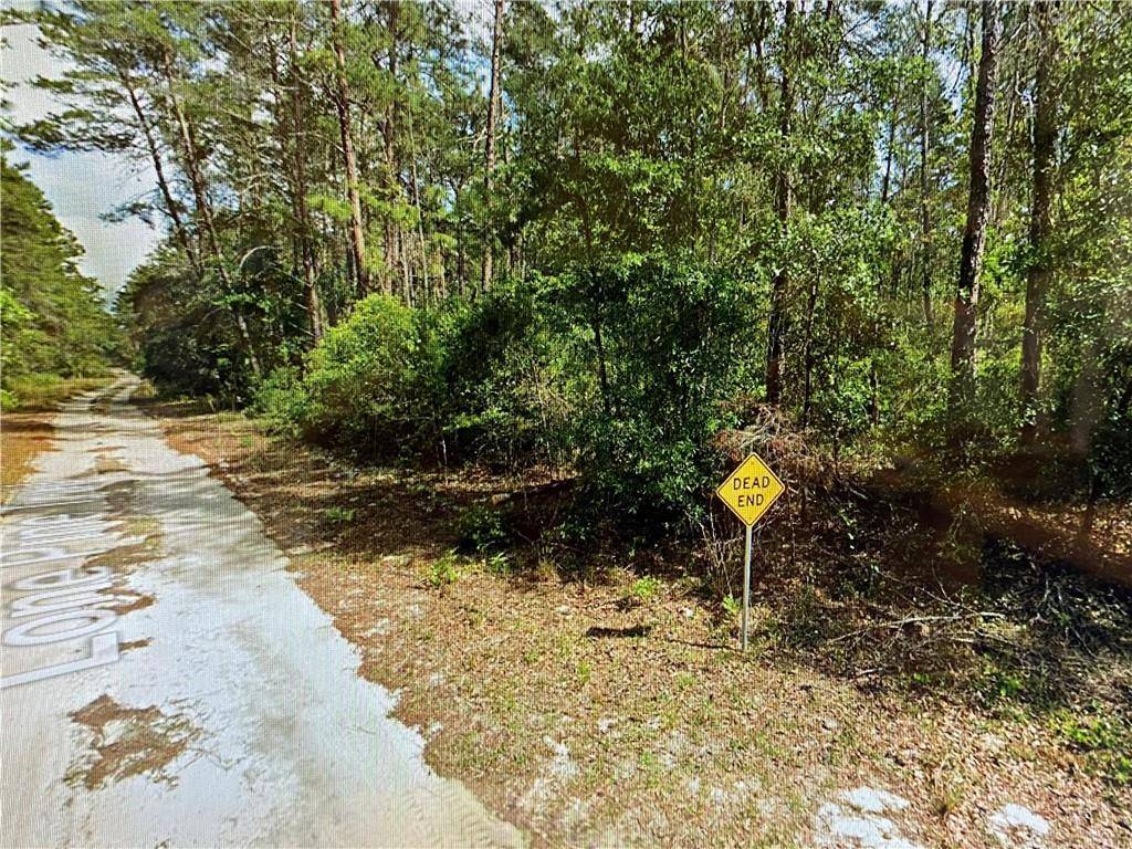 Other City - In The State Of Florida, FL 32666,0000 Lone Pine Trail