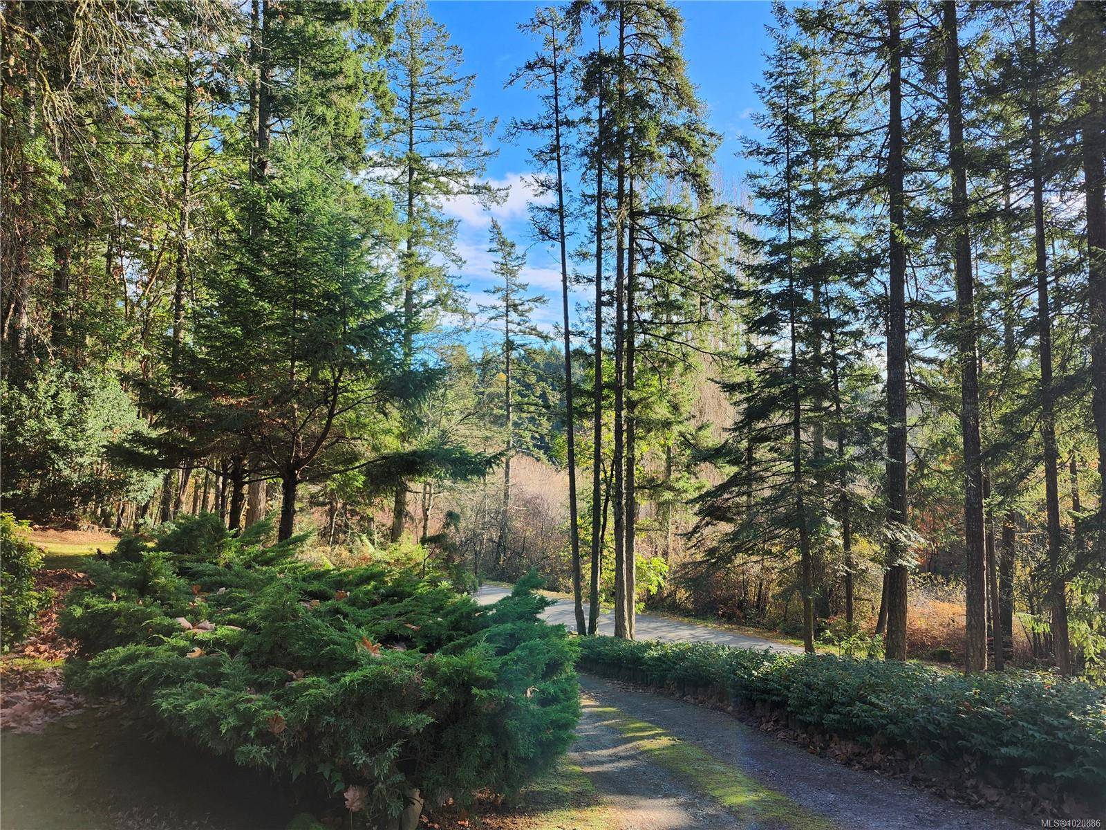 North Saanich, BC V8L 5R3,1252 TATLOW Rd