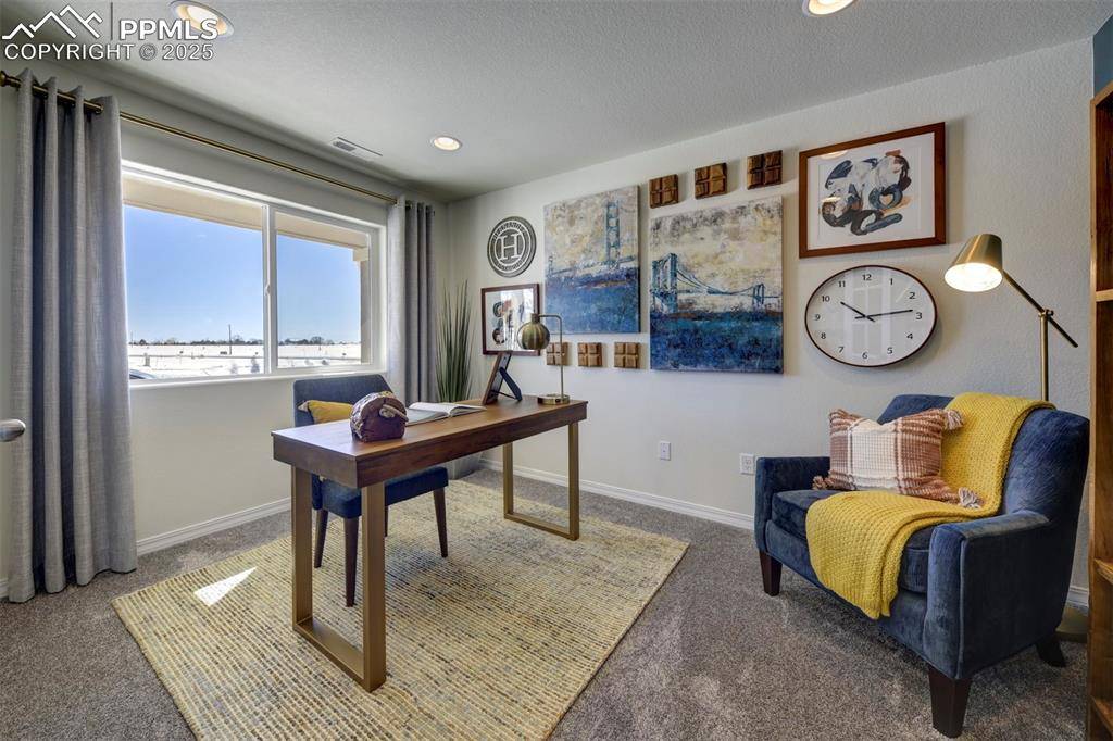 Falcon, CO 80831,8269 Sophia LN