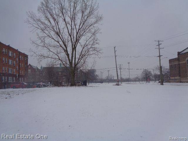 Detroit, MI 48206,2691 ROCHESTER ST