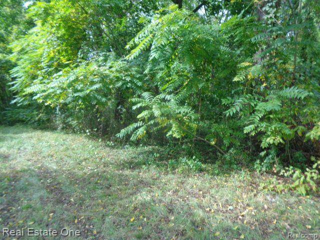 Detroit, MI 48219,17555 TRINITY ST