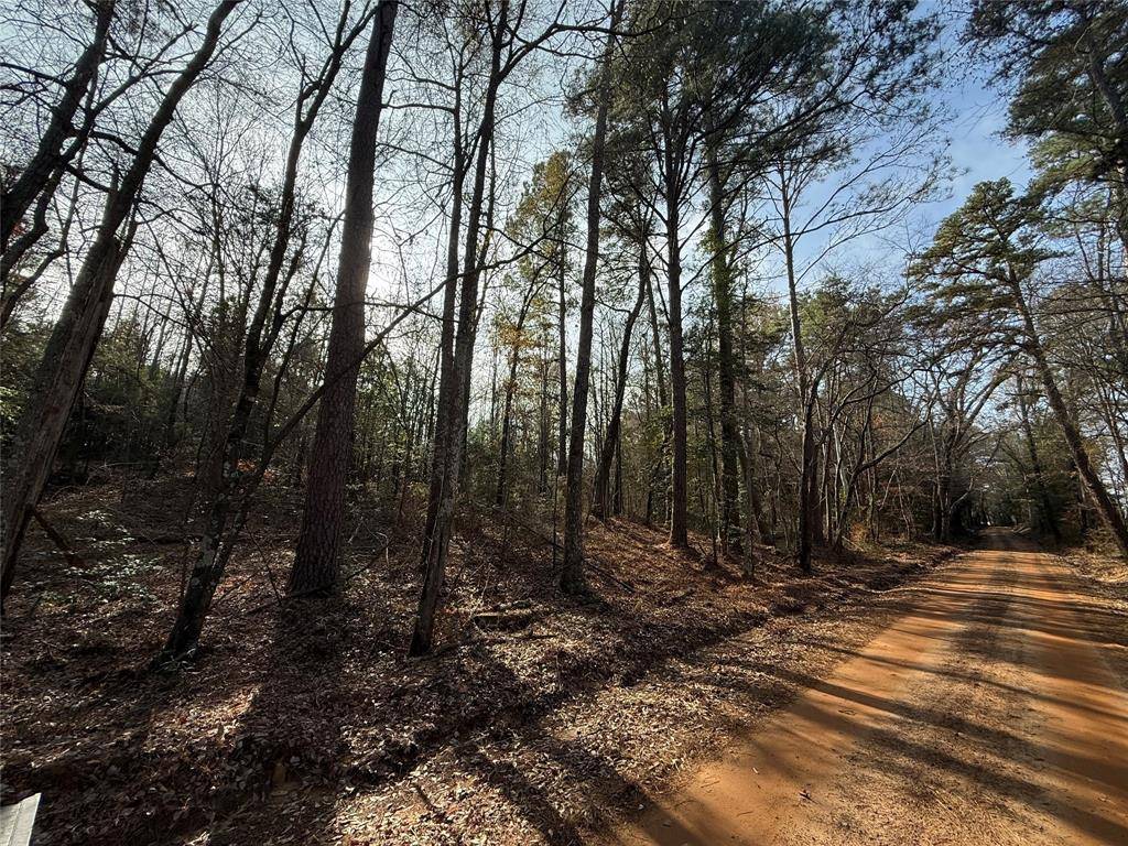 Marietta, TX 75566,TBD CR 2733