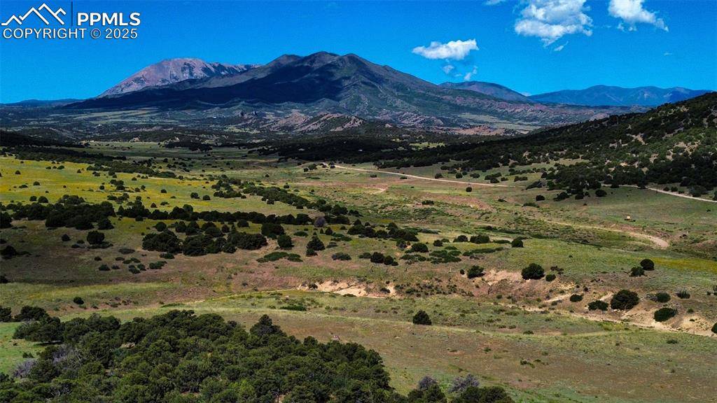 Walsenburg, CO 81089,363 Black Hills RD