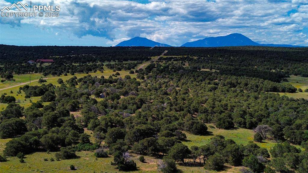 Walsenburg, CO 81089,363 Black Hills RD