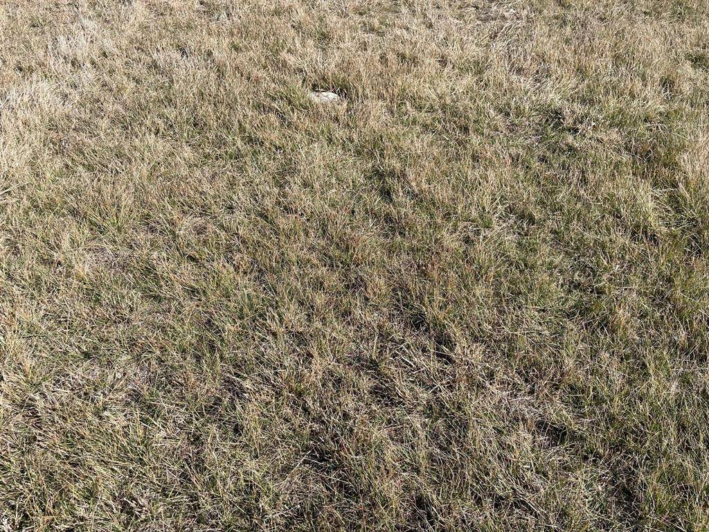 Valley Mills, TX 76689,TBD 3 Miller Rd